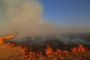 Os impactos da seca e da crise hídrica no Paraná