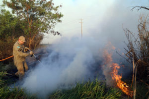 Incêndio ambiental: multa de R$ 5 mil a R$ 50 milhões no Paraná