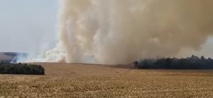 VEJA AS IMAGENS: Incêndio é registrado em área rural de Sede Alvorada