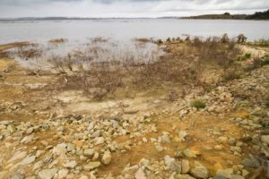 Estiagem: Paraná decreta situação de emergência hídrica