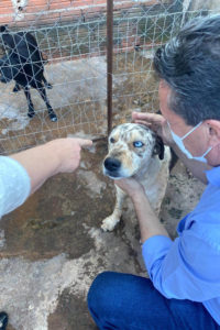IAT arrecada mais de uma tonelada de ração para amparo aos animais