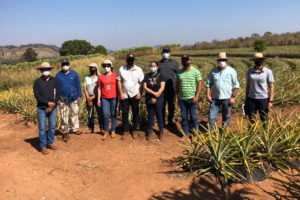 Paraná é referência na produção de frutas orgânicas