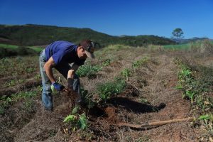 Cooperativas receberão serviços de assistência técnica e extensão rural