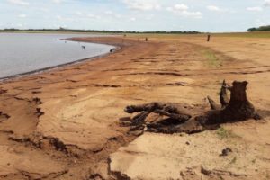 Paraná pode restringir outorga da água à agropecuária