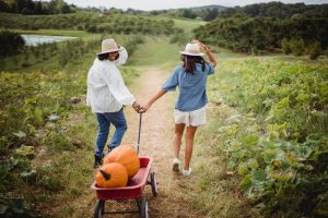 Crédito Rural para Mulheres incentiva independência de produtoras