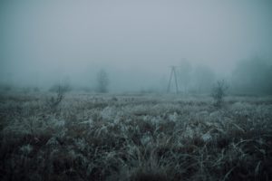 Por que está fazendo tanto frio em 2021?