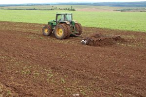 Pós temporal: Cautela na hora de decidir replantar a soja