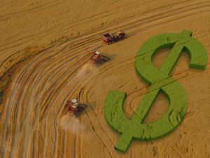 Seguro Penhor Rural impulsiona o crescimento do crédito agrícola