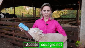 SOU AGRO: 6 meses no ar em defesa do Agronegócio