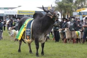 Rio Grande do Sul recebe certificado de estado livre da febre aftosa