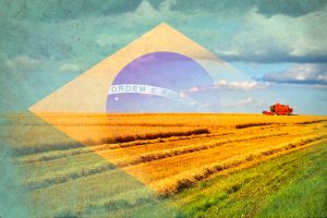Dia da Independência une o agro em todo o País
