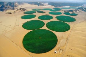 Quando a agricultura gera vida em meio ao deserto