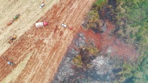 Fogo consumiu área equivalente a 30 campos de futebol