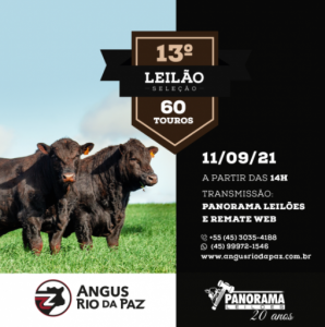 Veja como foi o 13º leilão virtual Angus Rio da Paz