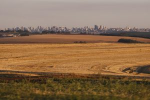 Oeste é líder em volume do VBP paranaense e cresce 22%