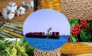 Balança comercial mostra evolução de 27,4% na agropecuária