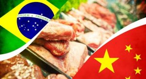 Brasil suspende exportações de carne bovina à China