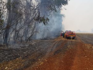 VÍDEO mostra desespero de agricultores em incêndio