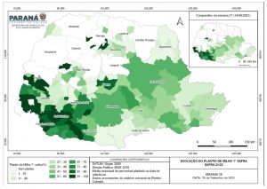 Veja a evolução das safras de milho no Paraná