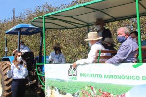 IDR-Paraná inaugura viveiro para melhorar produção de uva