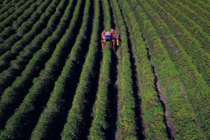 Novos registros de defensivos agrícolas de baixo impacto