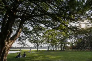 Primavera: variações bruscas de temperatura e chuva abaixo da média