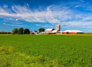 Relatório do USDA pressiona o mercado de commodities