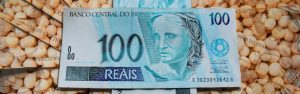 Guia orienta produtores sobre o funcionamento do seguro rural
