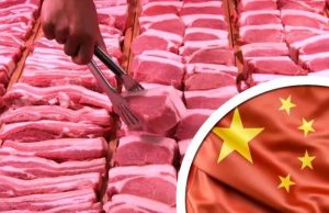Vaca louca completa um mês no Brasil: veja os reflexos