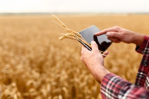 O Engenheiro Agrônomo e a evolução do agronegócio