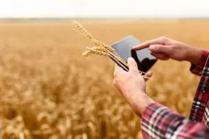 O Engenheiro Agrônomo e a evolução do agronegócio