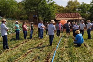 Sistema sustentável envolve a produção de hortaliças no oeste