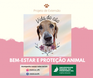 Projeto Vida de Cão foca o bem-estar animal
