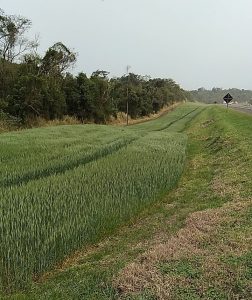 Oeste prova ser possível harmonizar produção e preservação