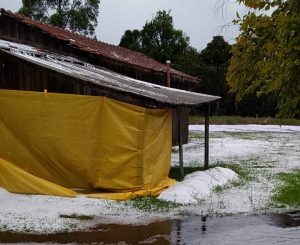 VÍDEO: Granizo cobre de gelo municípios do oeste