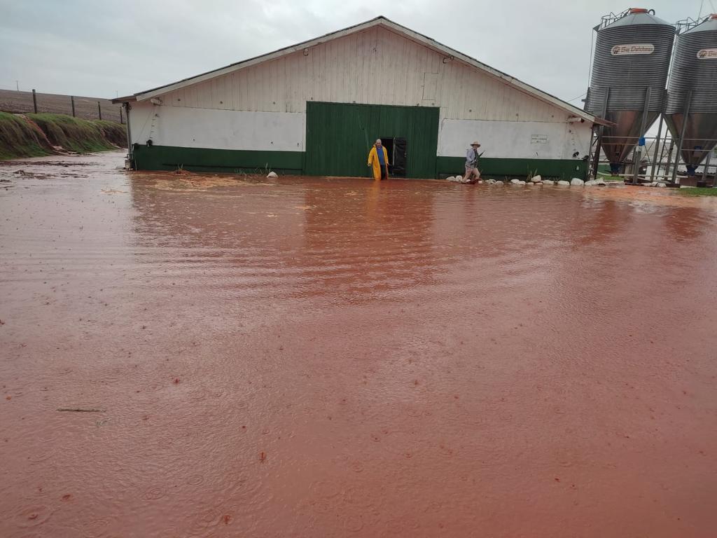 Aviário foi totalmente alagado na comunidade de Carajá, interior de Ubiratã