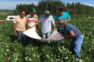 Produtores mostram boas práticas na produção de soja