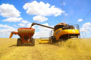 Grãos: Paraná deve produzir 25,37 milhões de toneladas