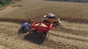 VBP Agropecuária de 2021 está estimado em R$ 1,10 trilhão