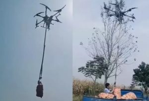 Drones são usados em colheitas na China