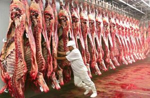 Mapa determina suspensão de produção de carne bovina para China