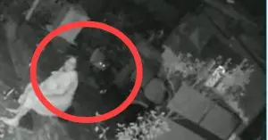 IMPRESSIONANTE: Onça ataca idosa, que se protege com bengala