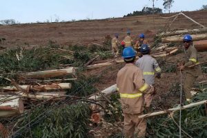 Mais de 600 postes caíram com o temporal