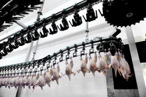 Qualidade faz do Paraná líder em exportação de carne halal