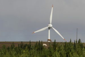 Paraná quer tornar o setor agropecuário mais sustentável