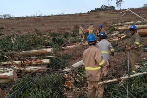 Temporais de outubro causaram mais estragos no sistema elétrico que ciclone-bomba de 2020
