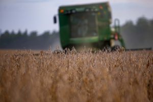 Agronegócio brasileiro exporta US$ 10,1 bilhões em setembro