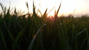 Instituto dos Estados Unidos confirma formação do La Niña no Brasil