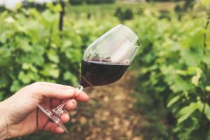 Produtores de vinhos coloniais são premiados em evento no Oeste
