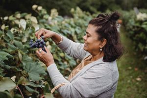 Mulheres do Agro podem se beneficiar com crédito junto ao BRDE
